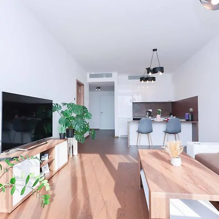 Skypark Tower 3- Free Parking And Views * Pressburg